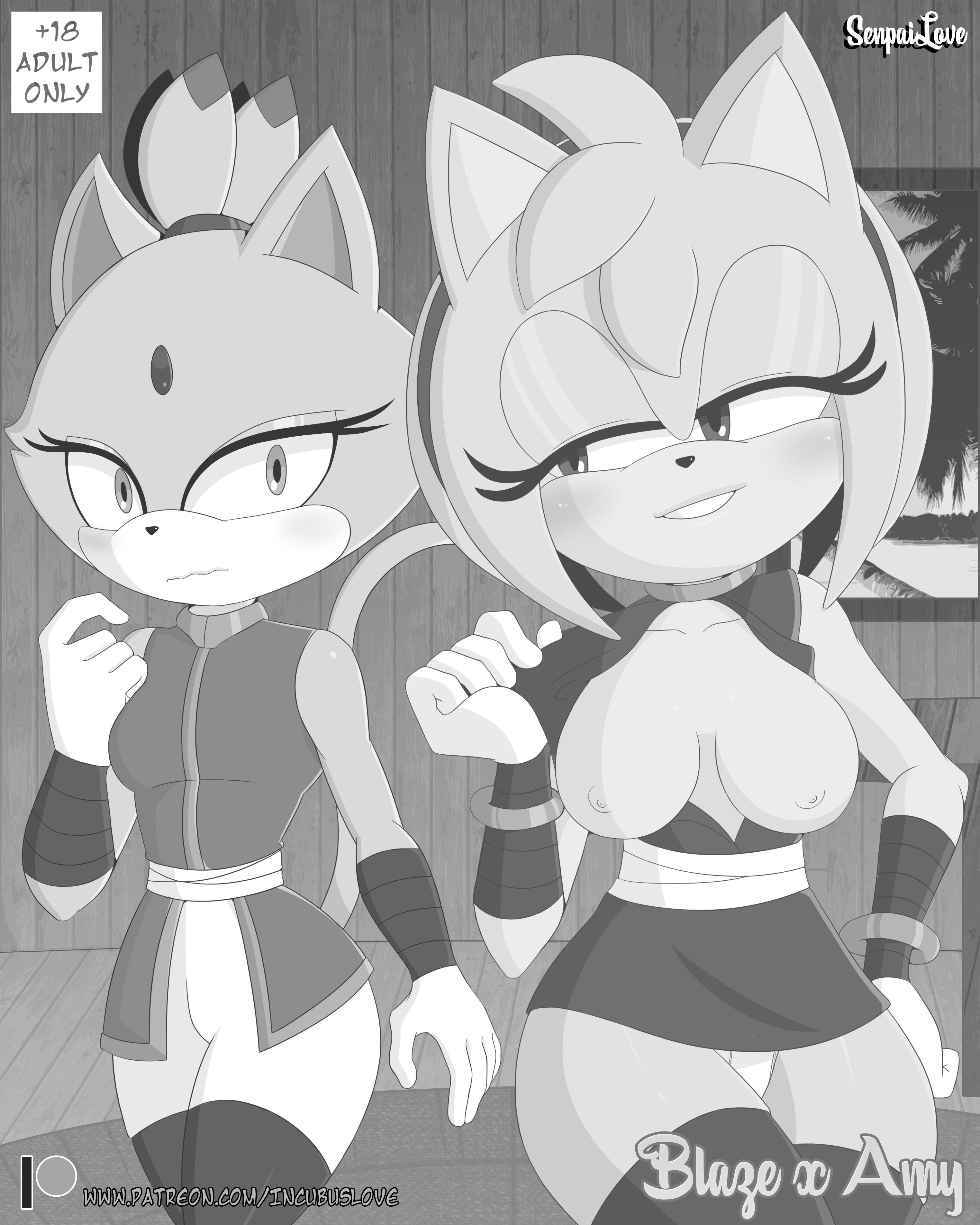 Amy Rose (Sonic (Series)) Rule 34 Image