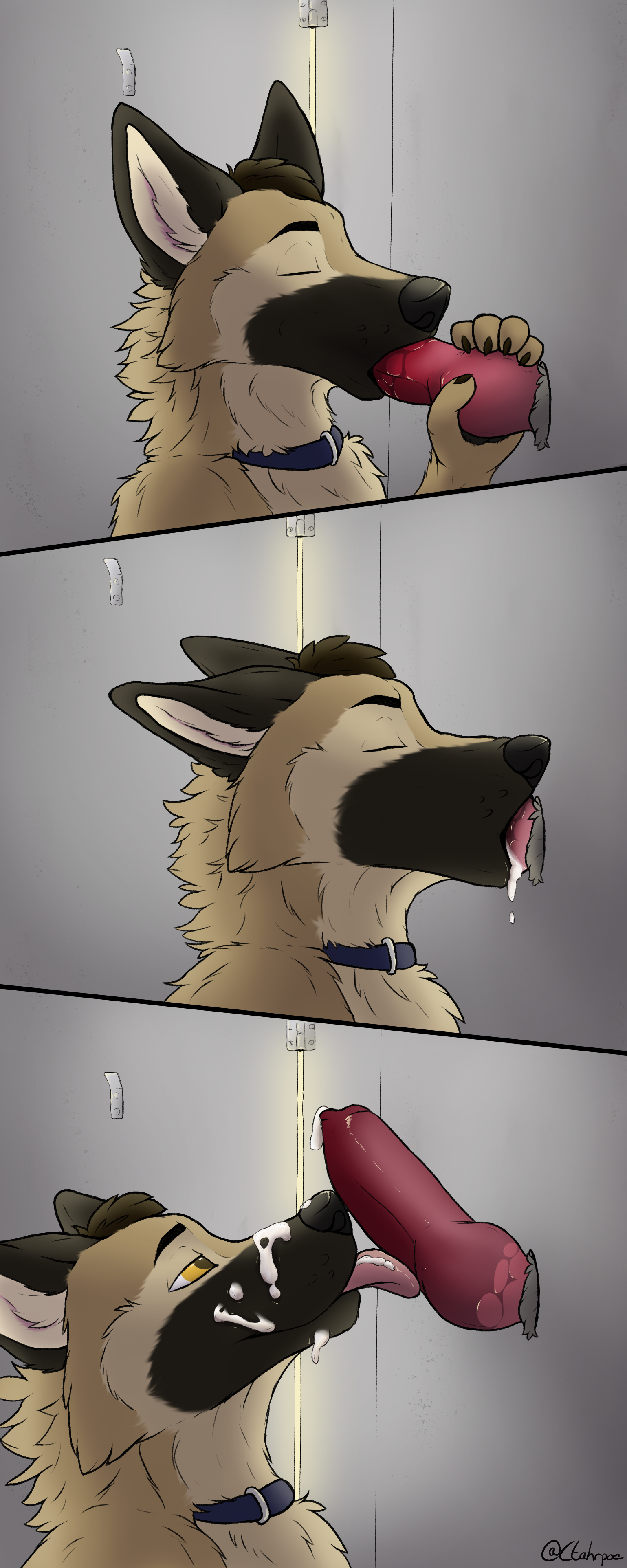 2019 Rule 34 Image