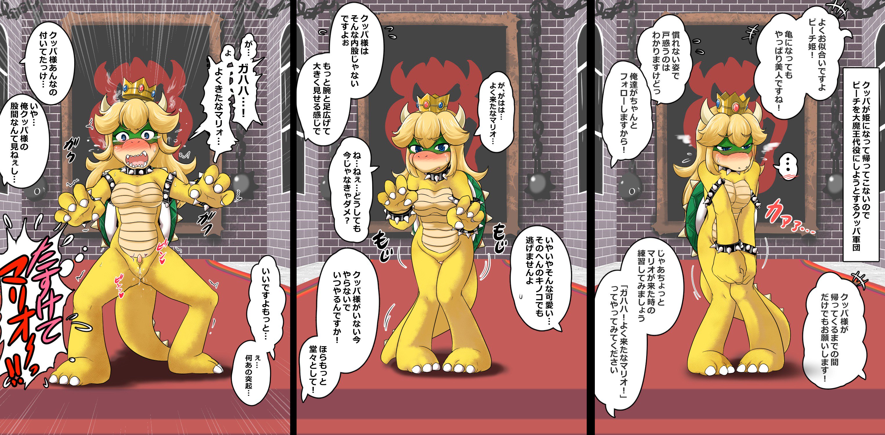 Princess Koopa (Mario (Series)) Rule 34 Image