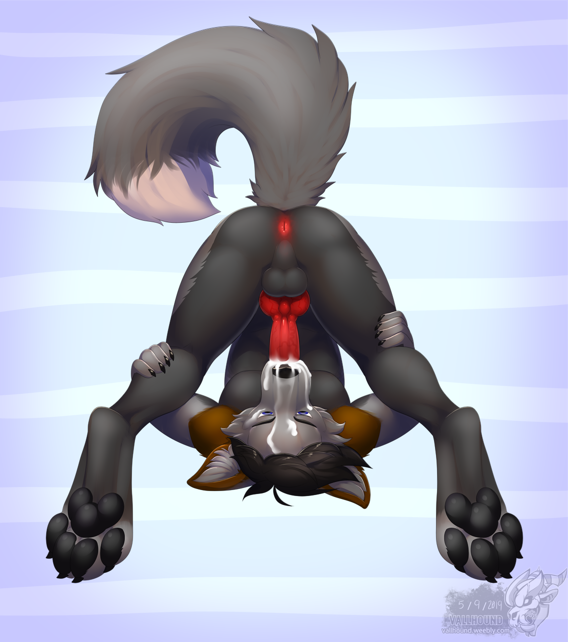 Animal Genitalia Rule 34 Image