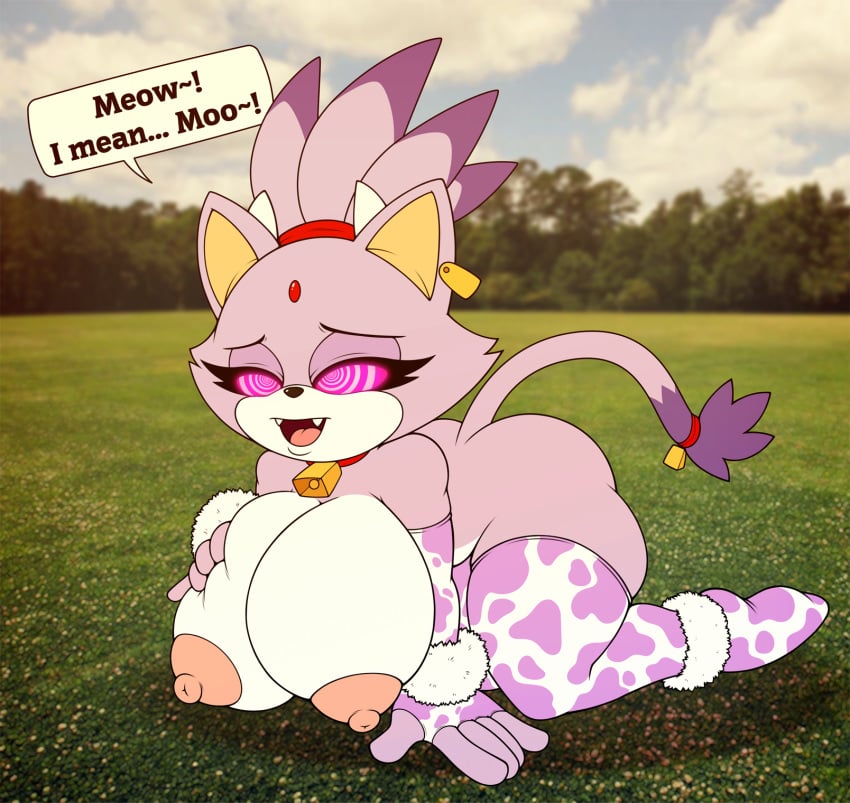 Blaze The Cat (Sega) Rule 34 Image