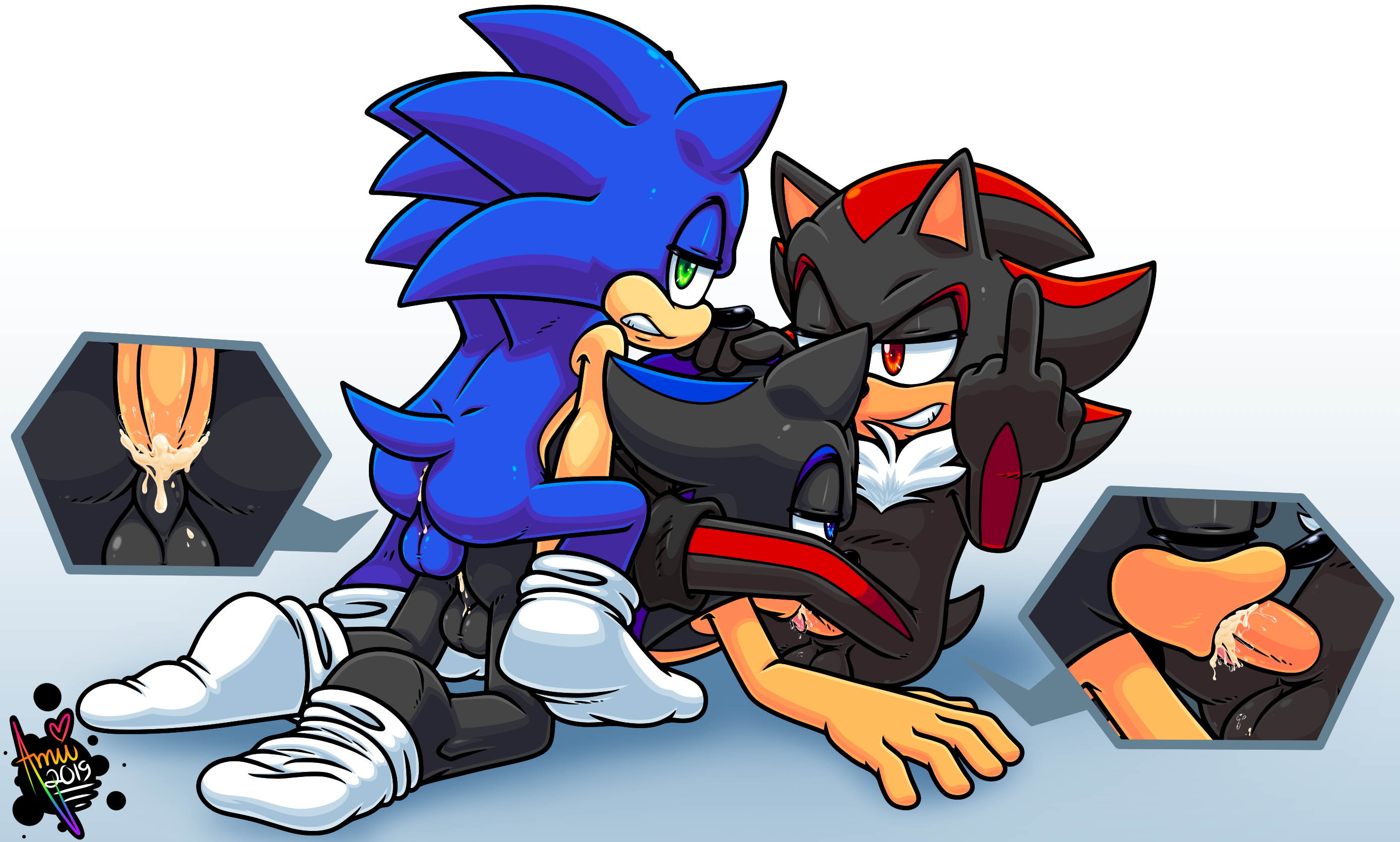 Fan Character (Sonic (Series)) Rule 34 Image