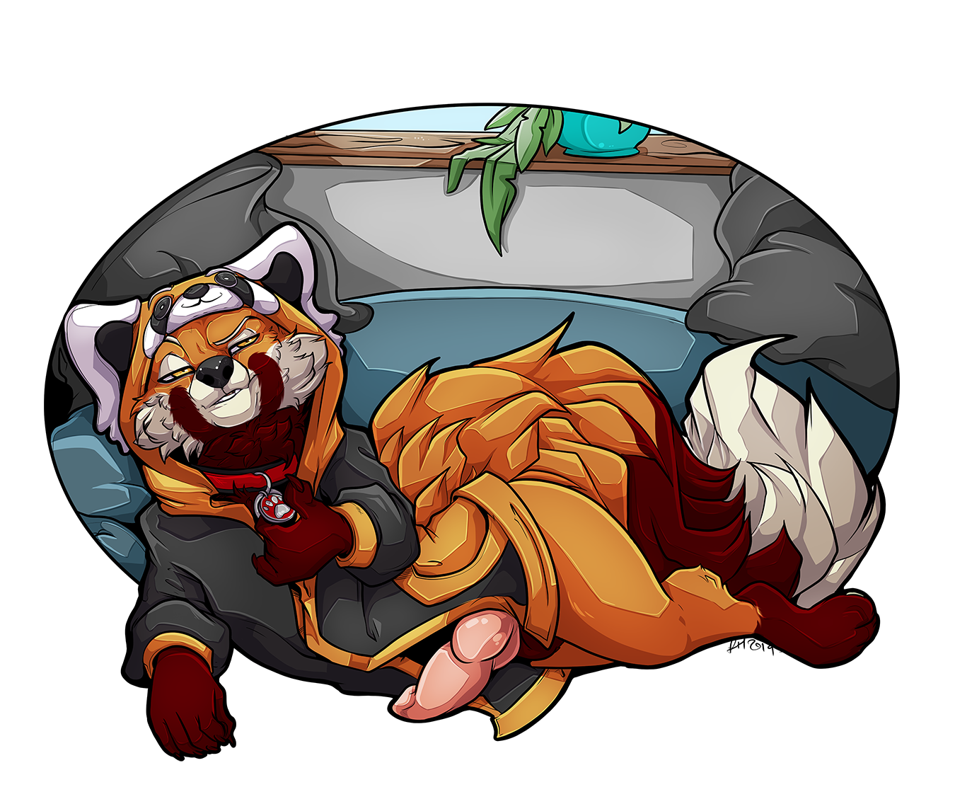 Ailurid Rule 34 Image