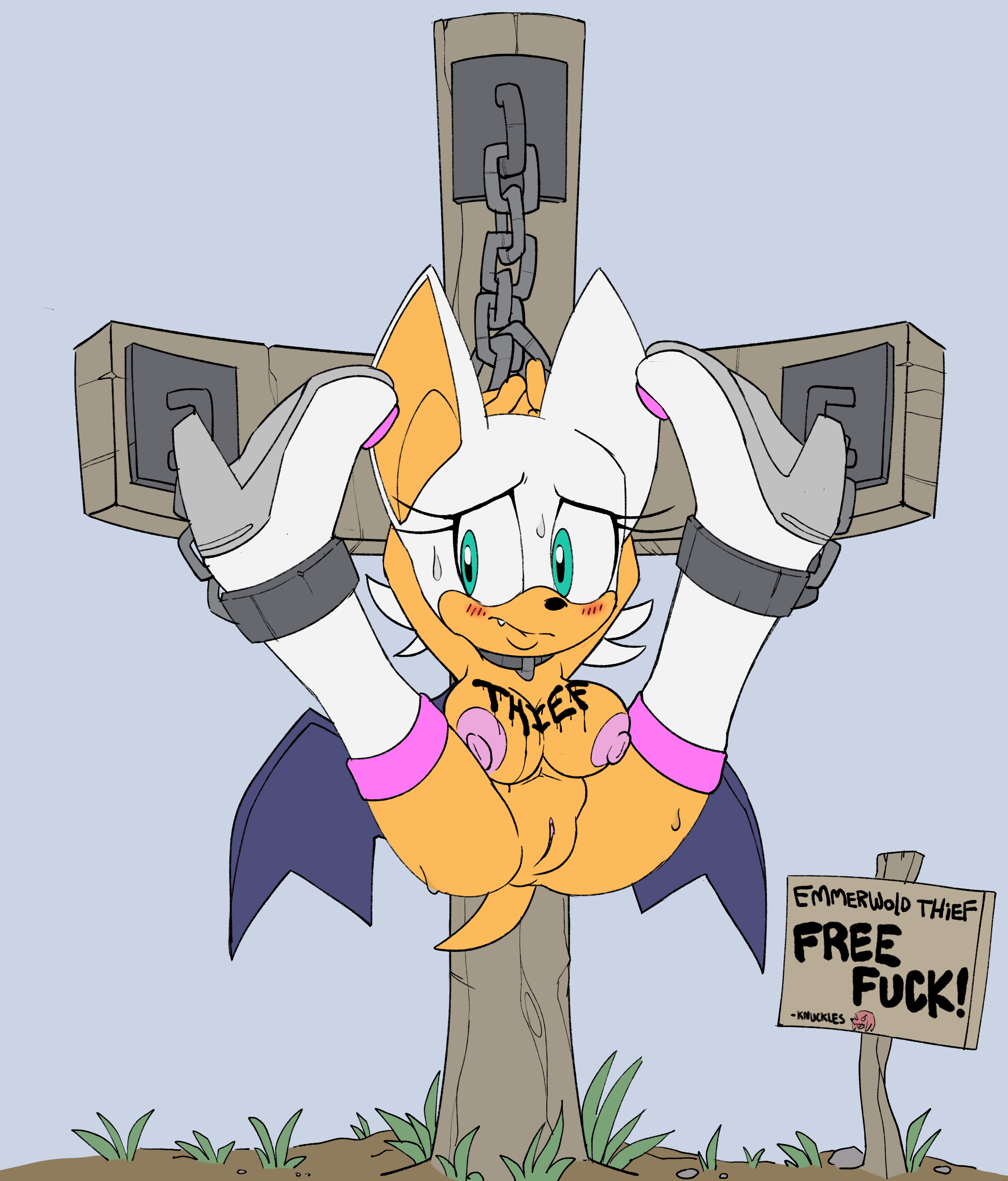 Rouge The Bat (Sega) Rule 34 Image