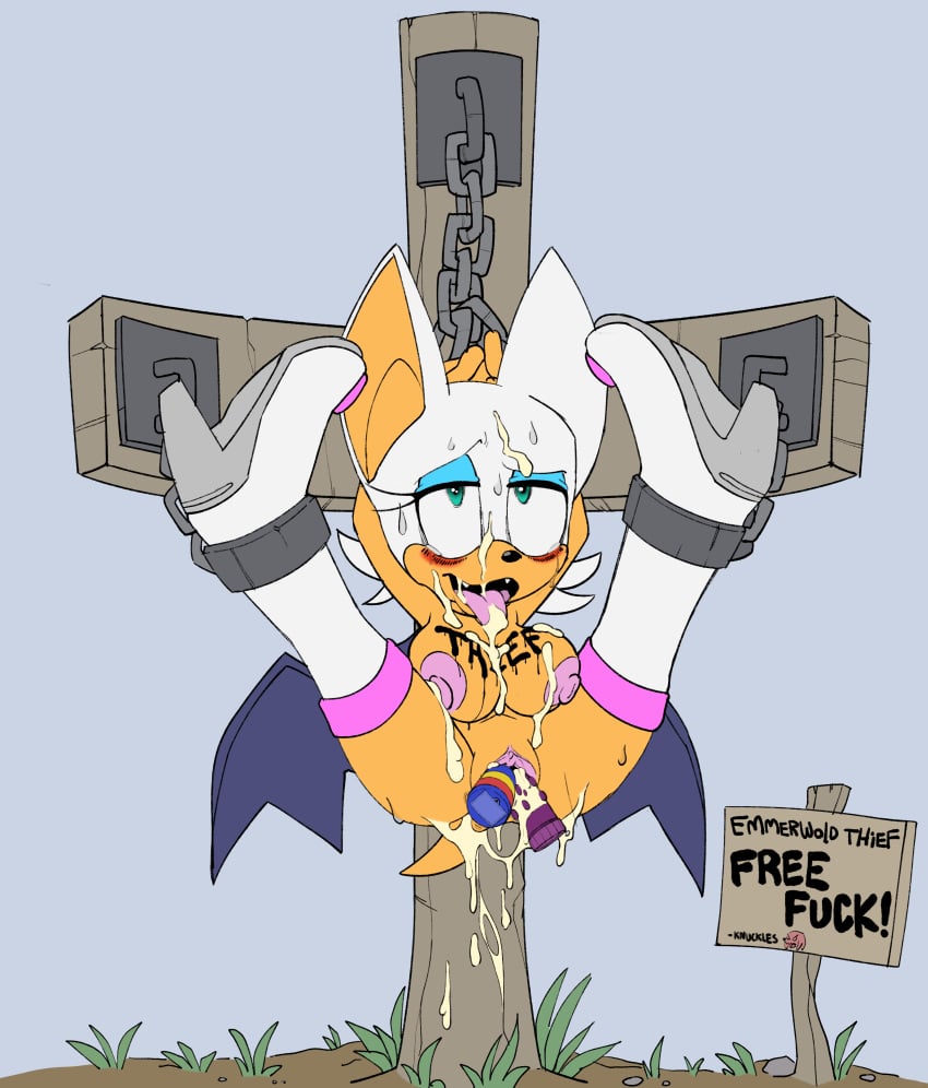 Rouge The Bat (Sega) Rule 34 Image