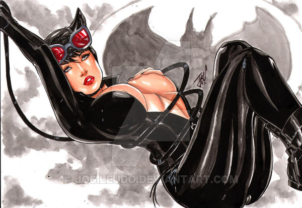Catwoman (Batman (Series)) Rule 34 Image