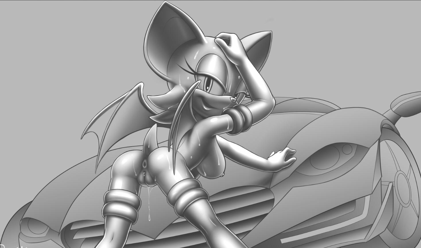 Rouge The Bat (Sega) Rule 34 Image