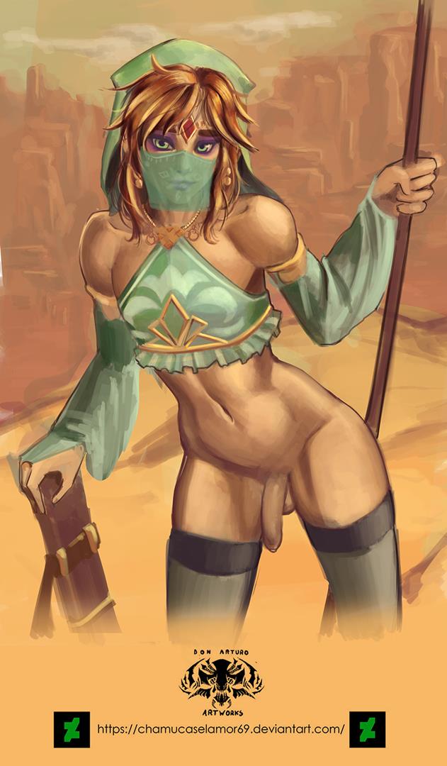 Gerudo Link (Breath Of The Wild) Rule 34 Image