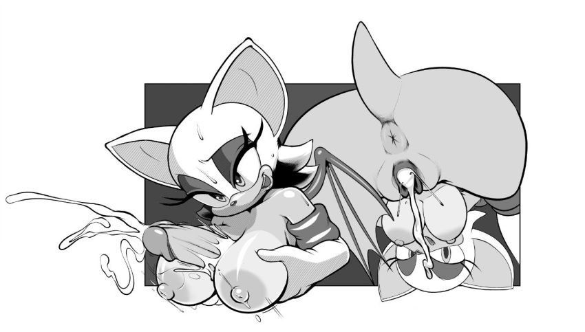 Rouge The Bat (Sega) Rule 34 Image