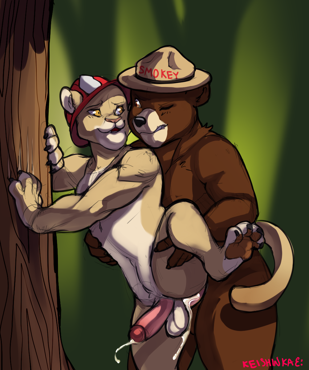 Smokey Bear Rule 34 Image