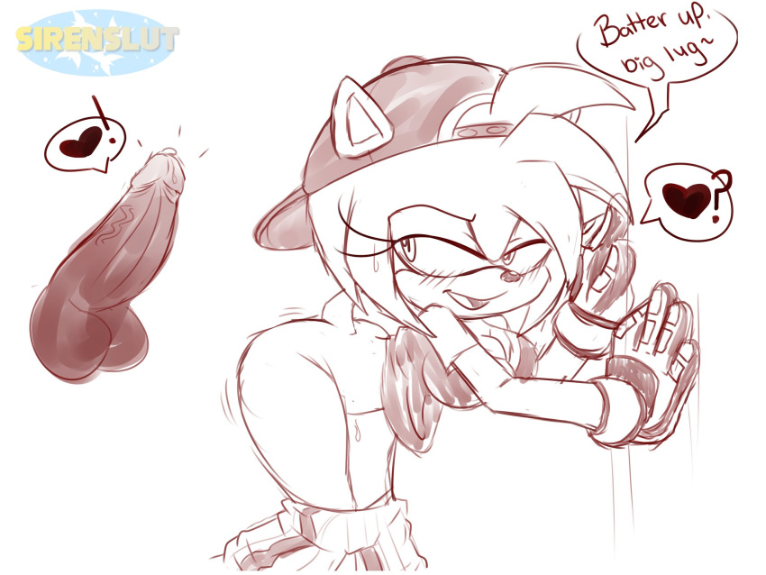 All-Star Amy (Sonic (Series)) Rule 34 Image