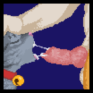 1:1 Rule 34 Image