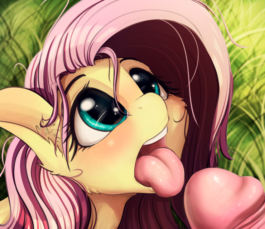 Fluttershy (Mlp) Rule 34 Image
