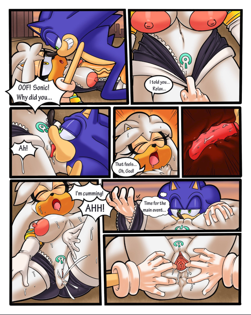 Silver The Hedgehog (Sega) Rule 34 Image
