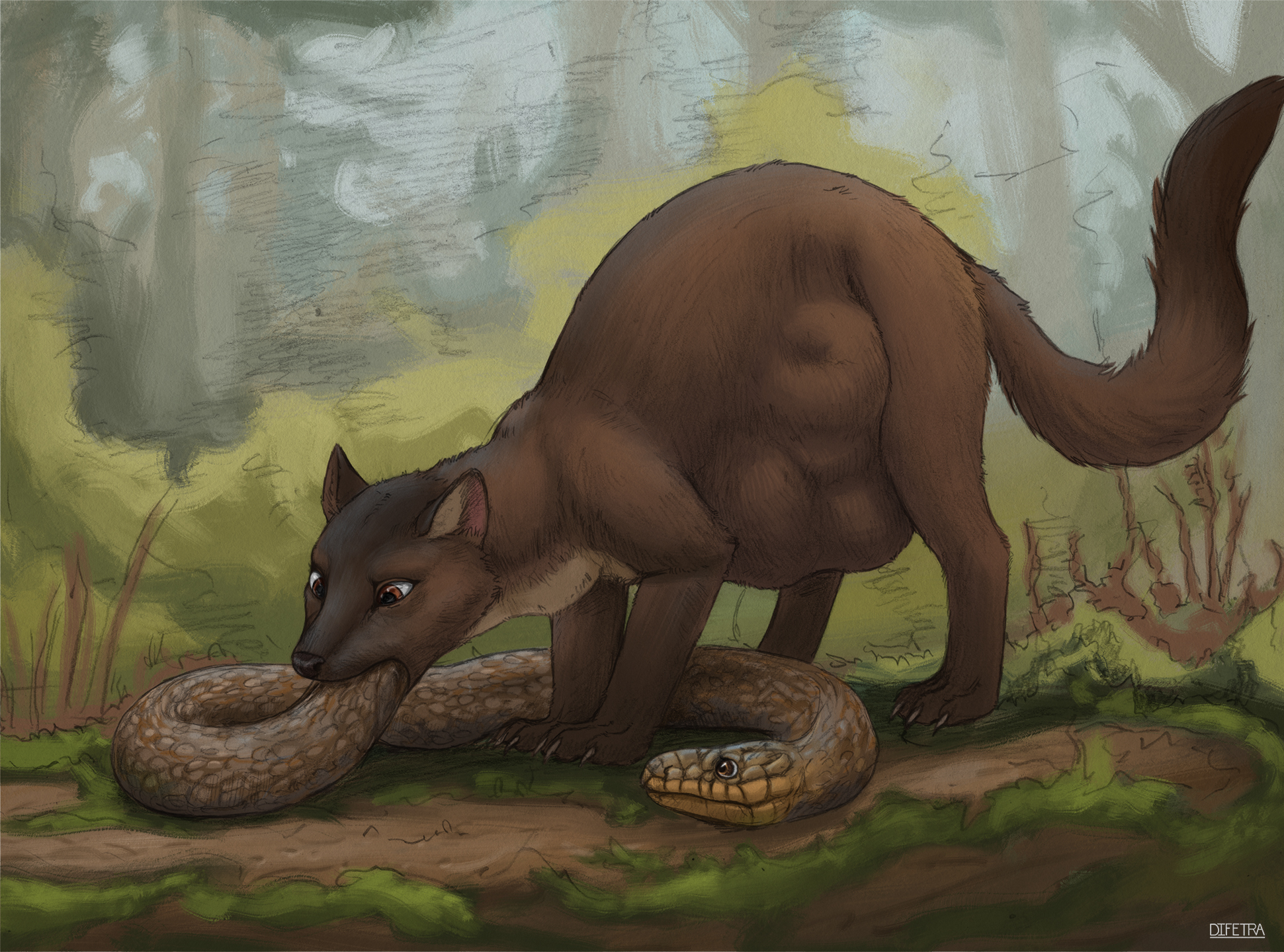 Brown Fur Rule 34 Image