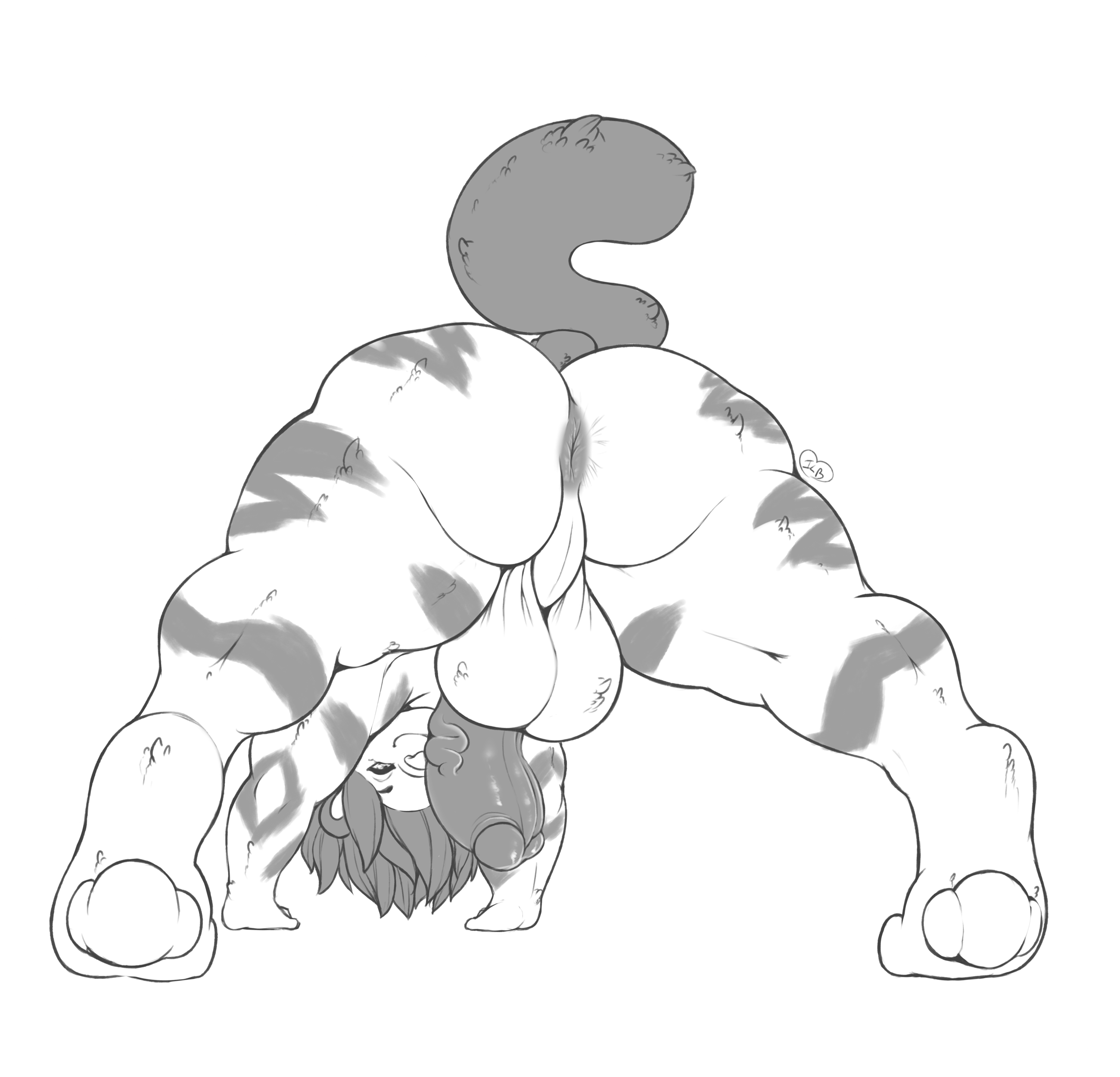 Toyger Chives Rule 34 Image