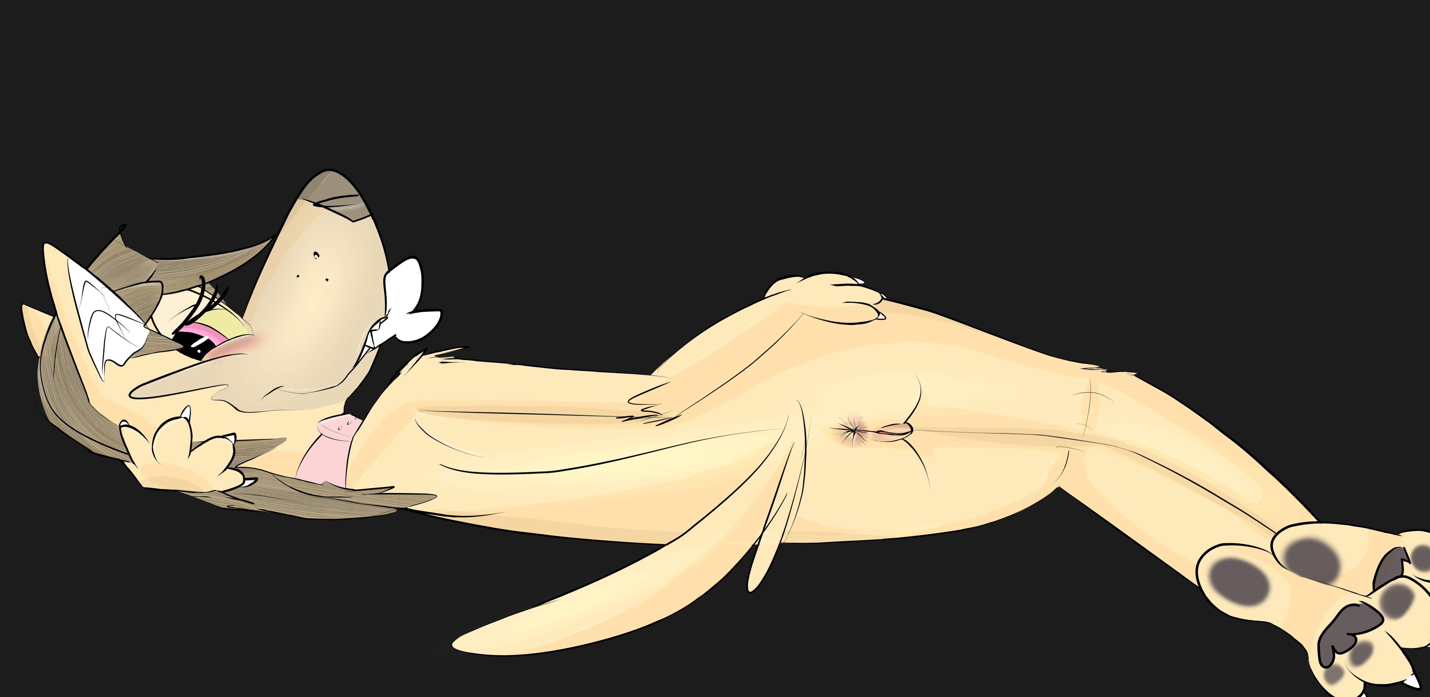 Absurd Res Rule 34 Image