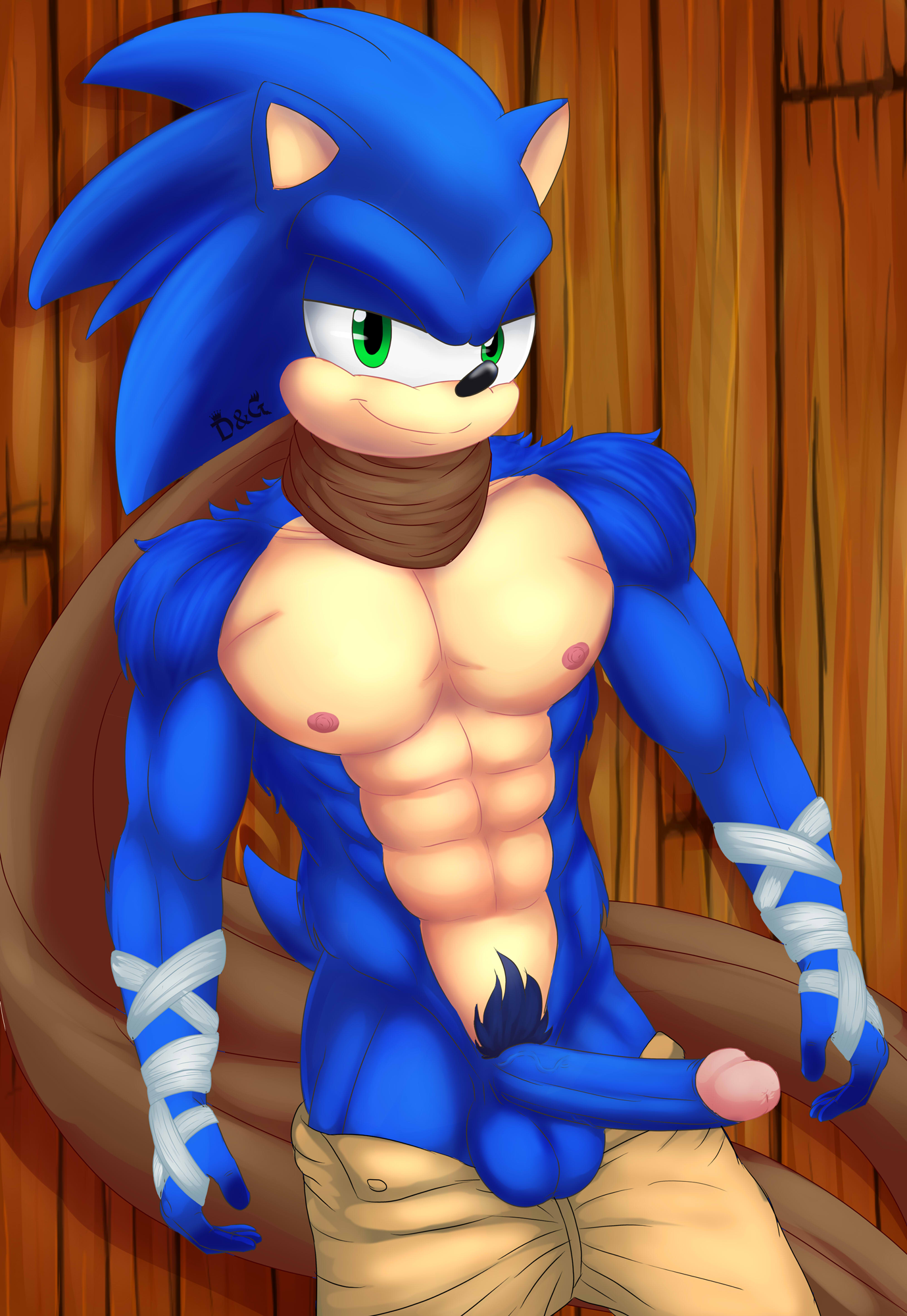 Sonic (Boom) Rule 34 Image