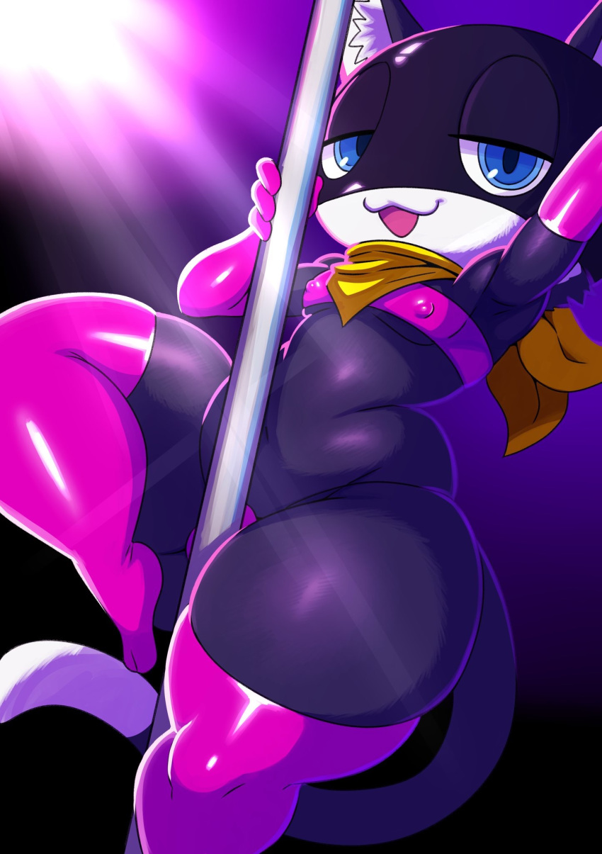 Morgana (Persona) Rule 34 Image