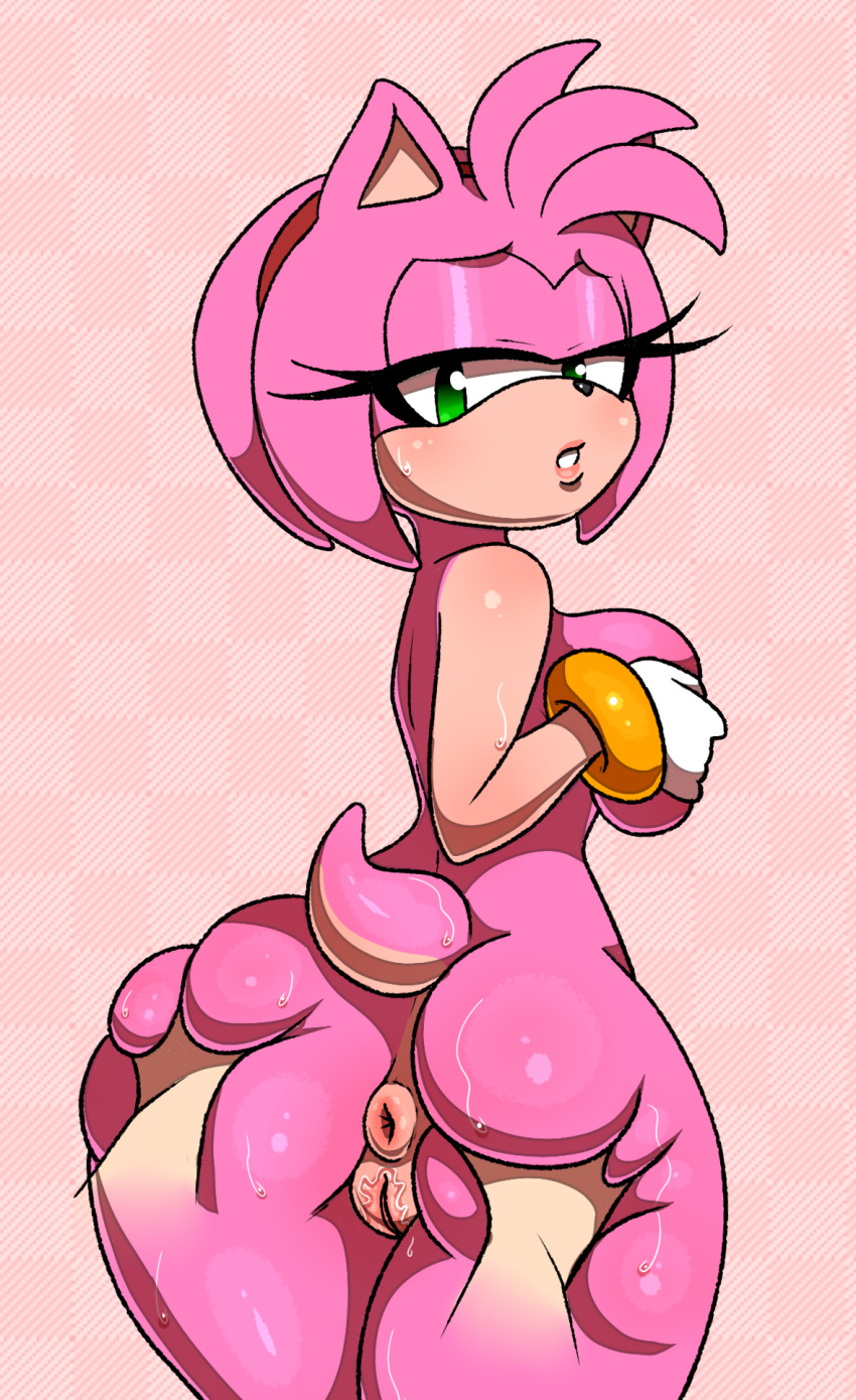 Amy Rose (Sega) Rule 34 Image