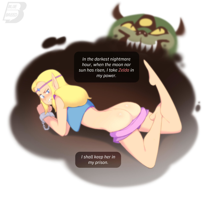 The Legend Of Zelda (Cd-I) Rule 34 Image