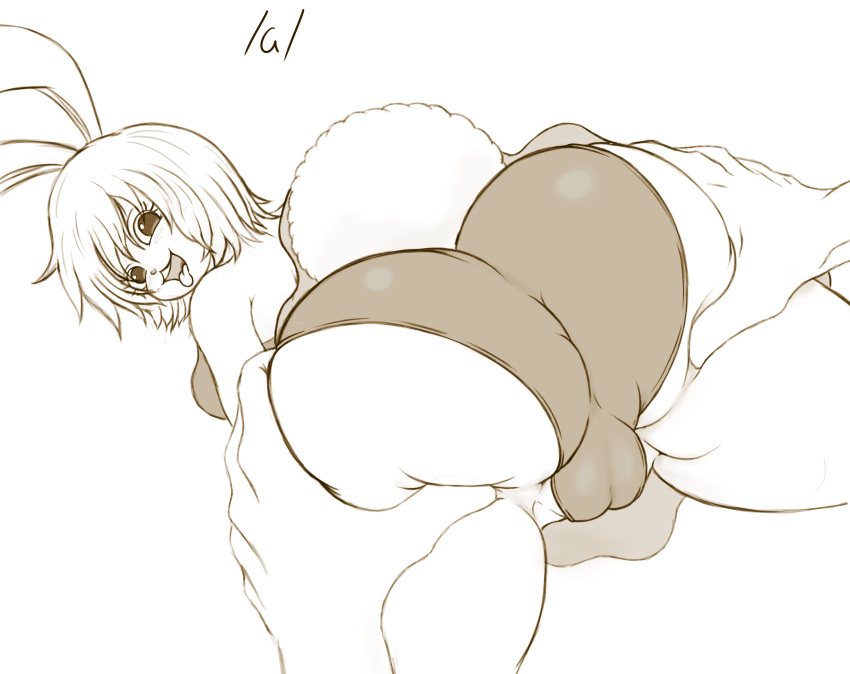 Carrot (One Piece) Rule 34 Image