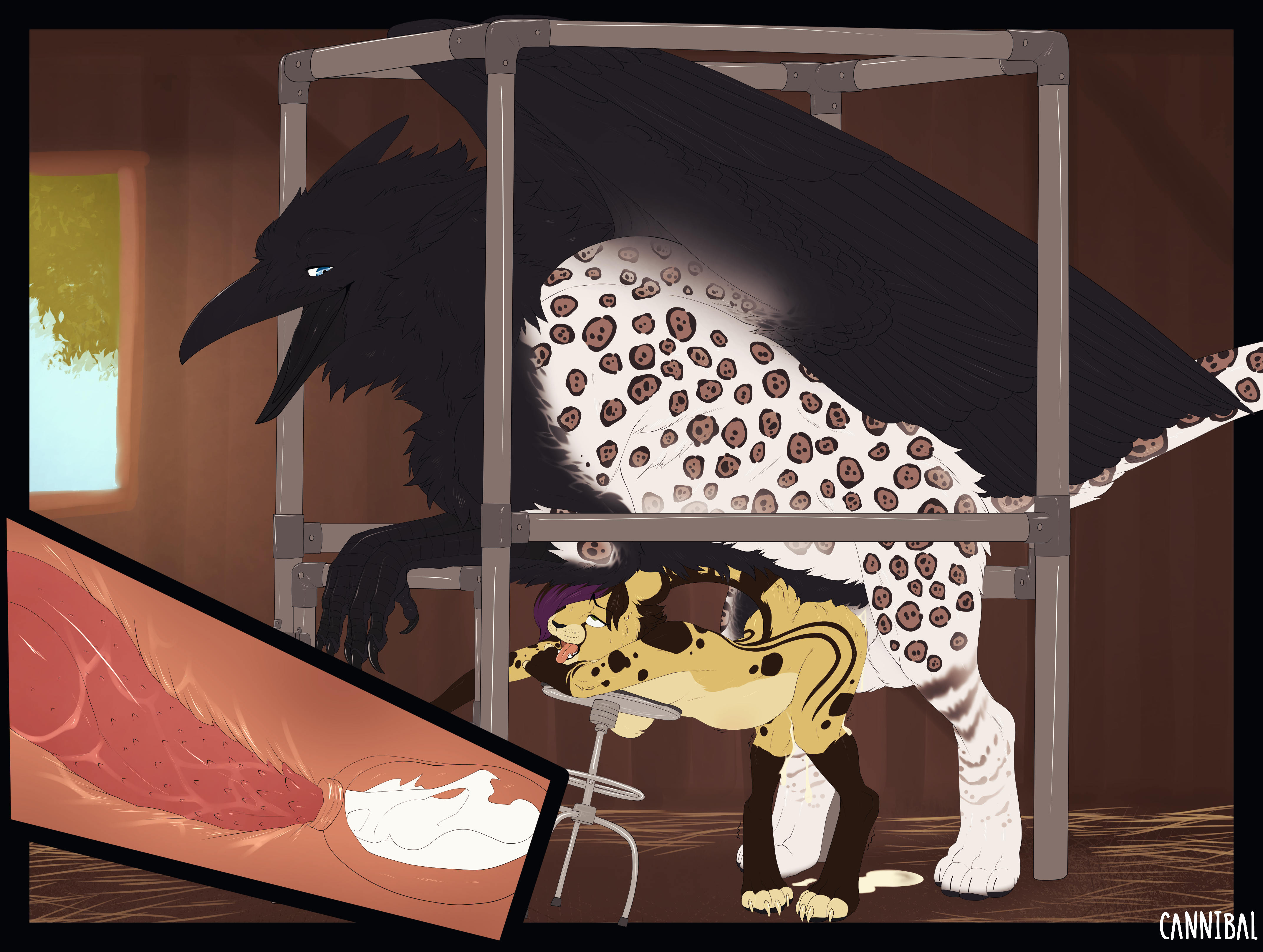 Corvus (Genus) Rule 34 Image
