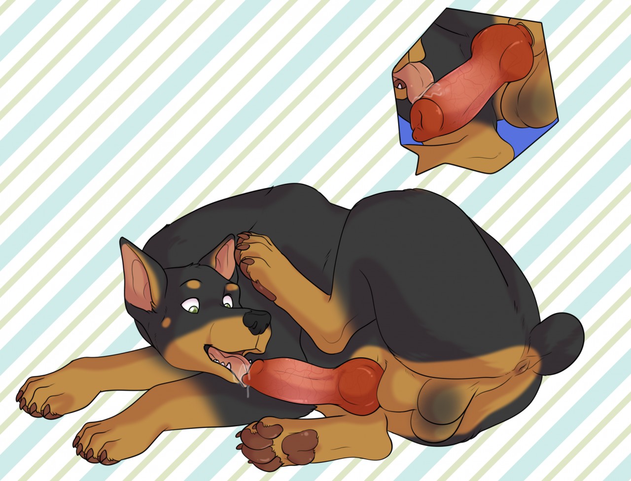 Animal Genitalia Rule 34 Image