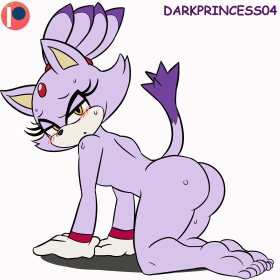 Blaze The Cat (Sega) Rule 34 Image