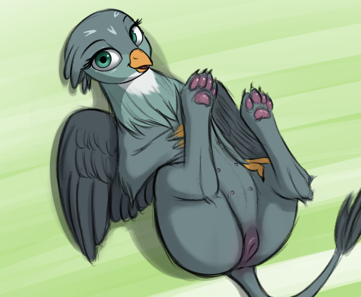 Gabby (Mlp) Rule 34 Image