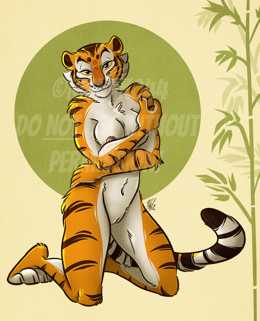 Master Tigress (Dreamworks) Rule 34 Image