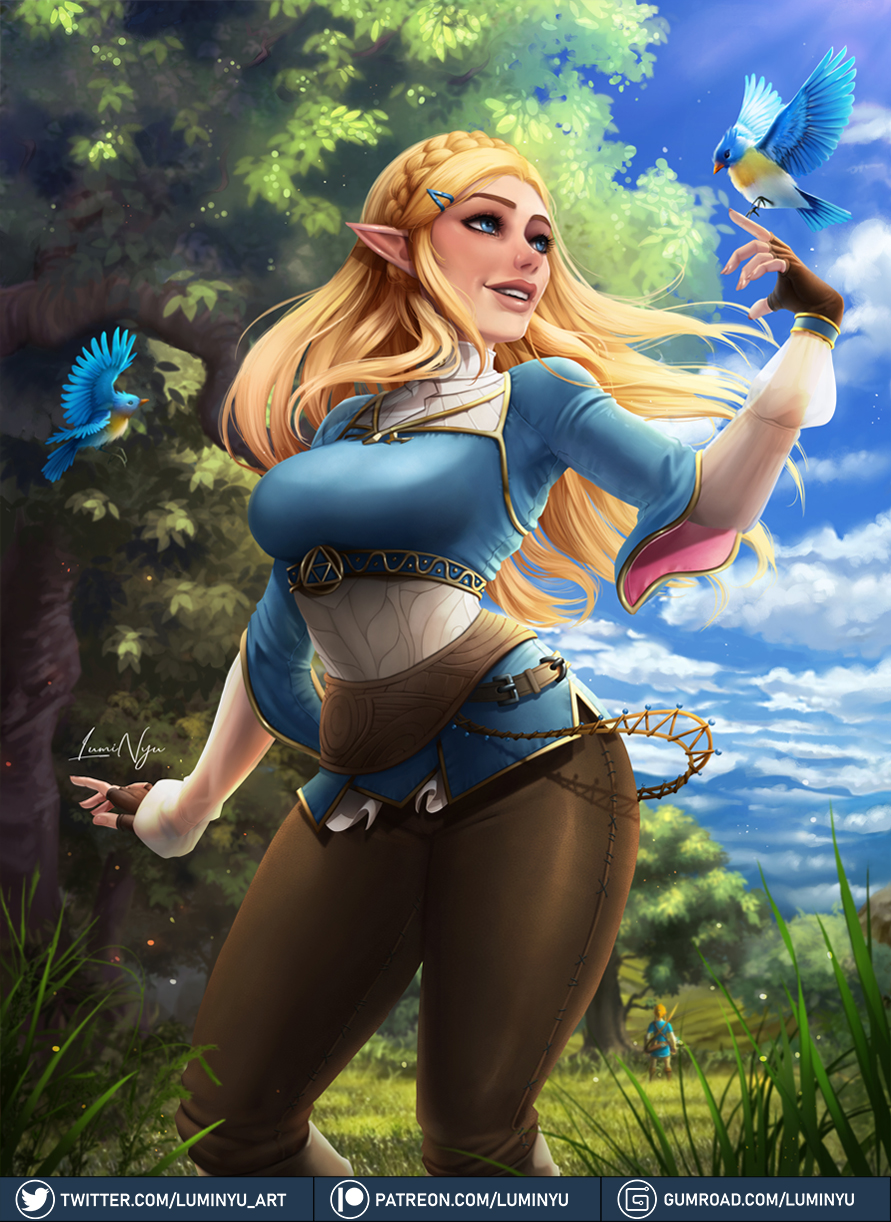 Link (Breath Of The Wild) Rule 34 Image