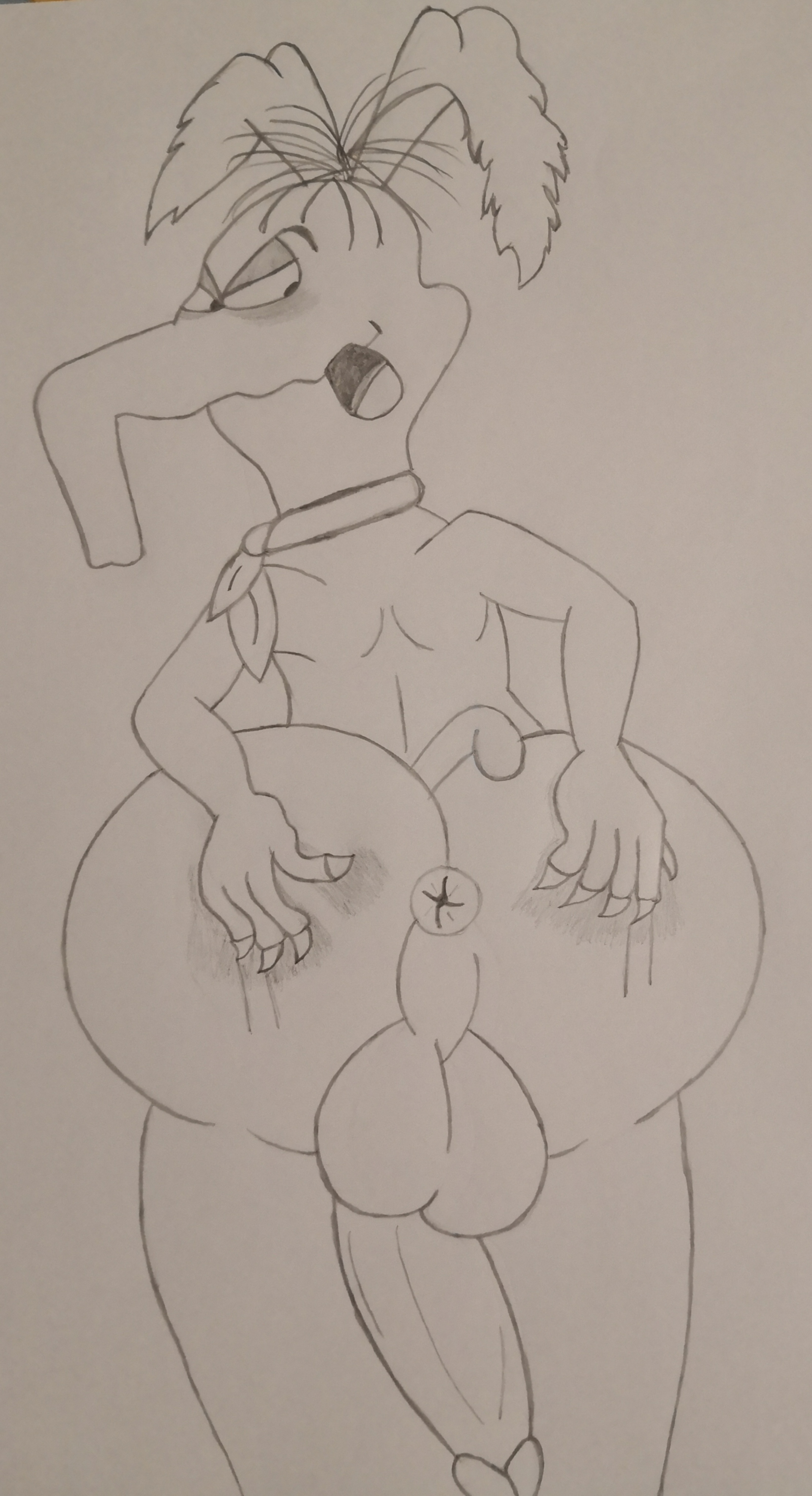 The Raccoons Rule 34 Image