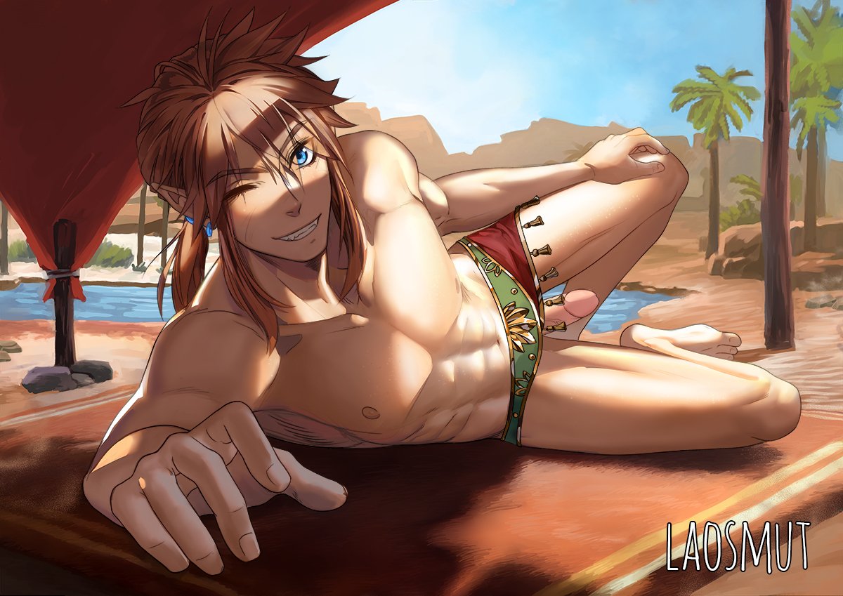 Gerudo Link (Breath Of The Wild) Rule 34 Image