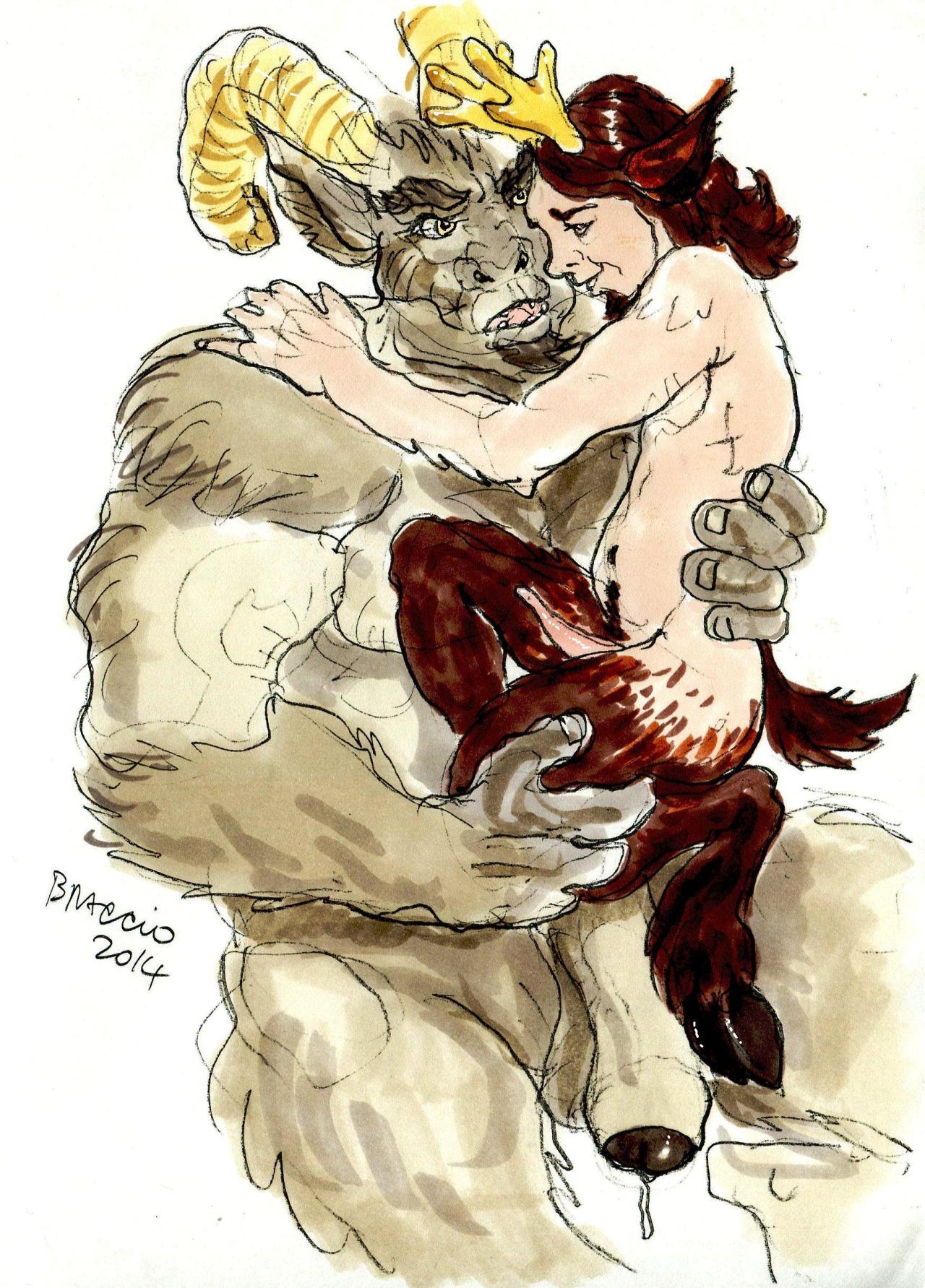 Animal Genitalia Rule 34 Image