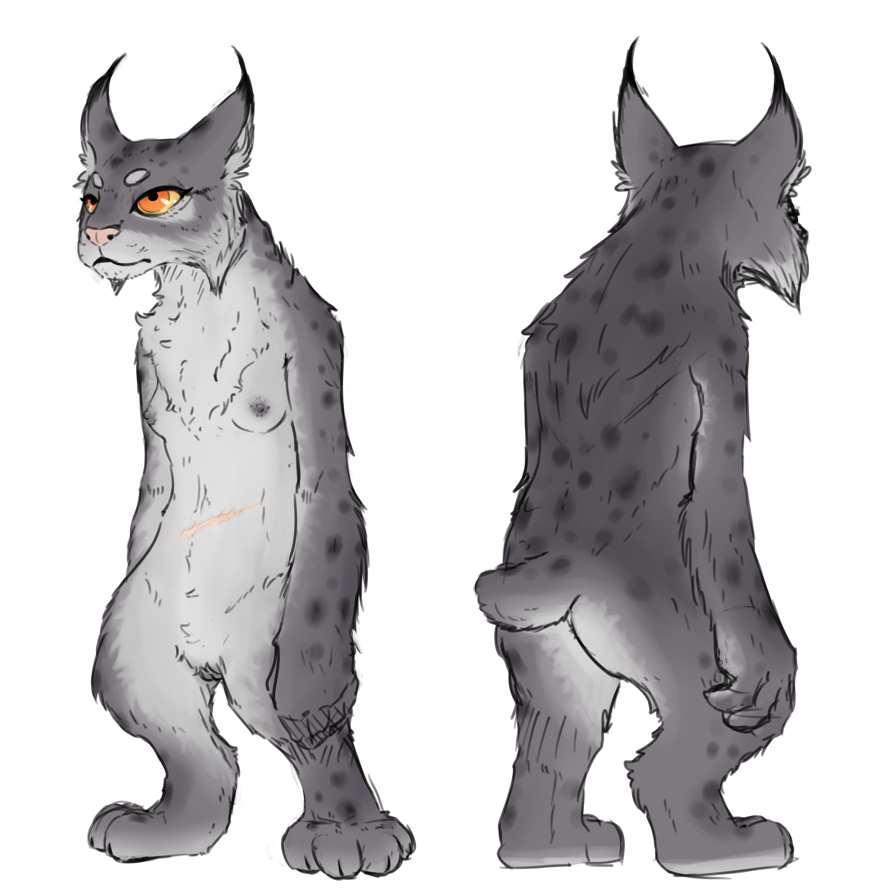 Nobby (Artist) Rule 34 Image