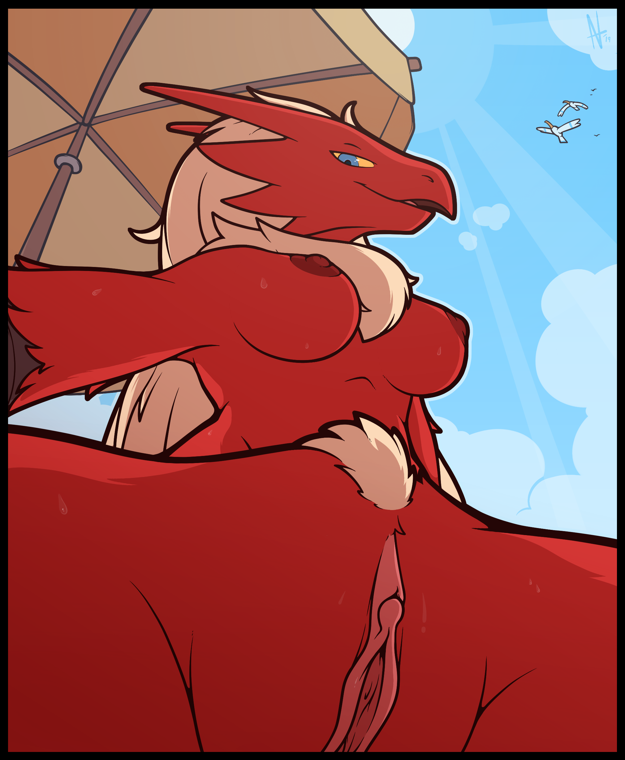 Blaziken (Nintendo) Rule 34 Image
