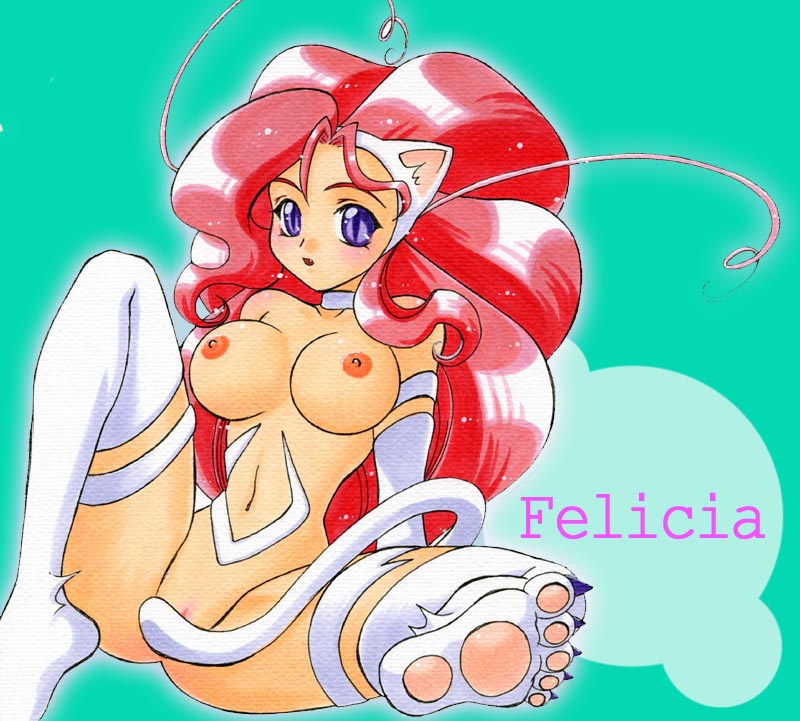 Felicia (Darkstalkers) Rule 34 Image