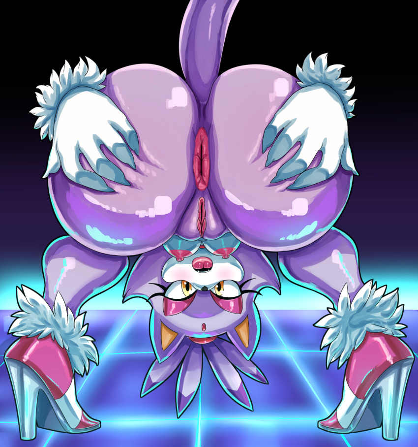 Blaze The Cat (Sega) Rule 34 Image