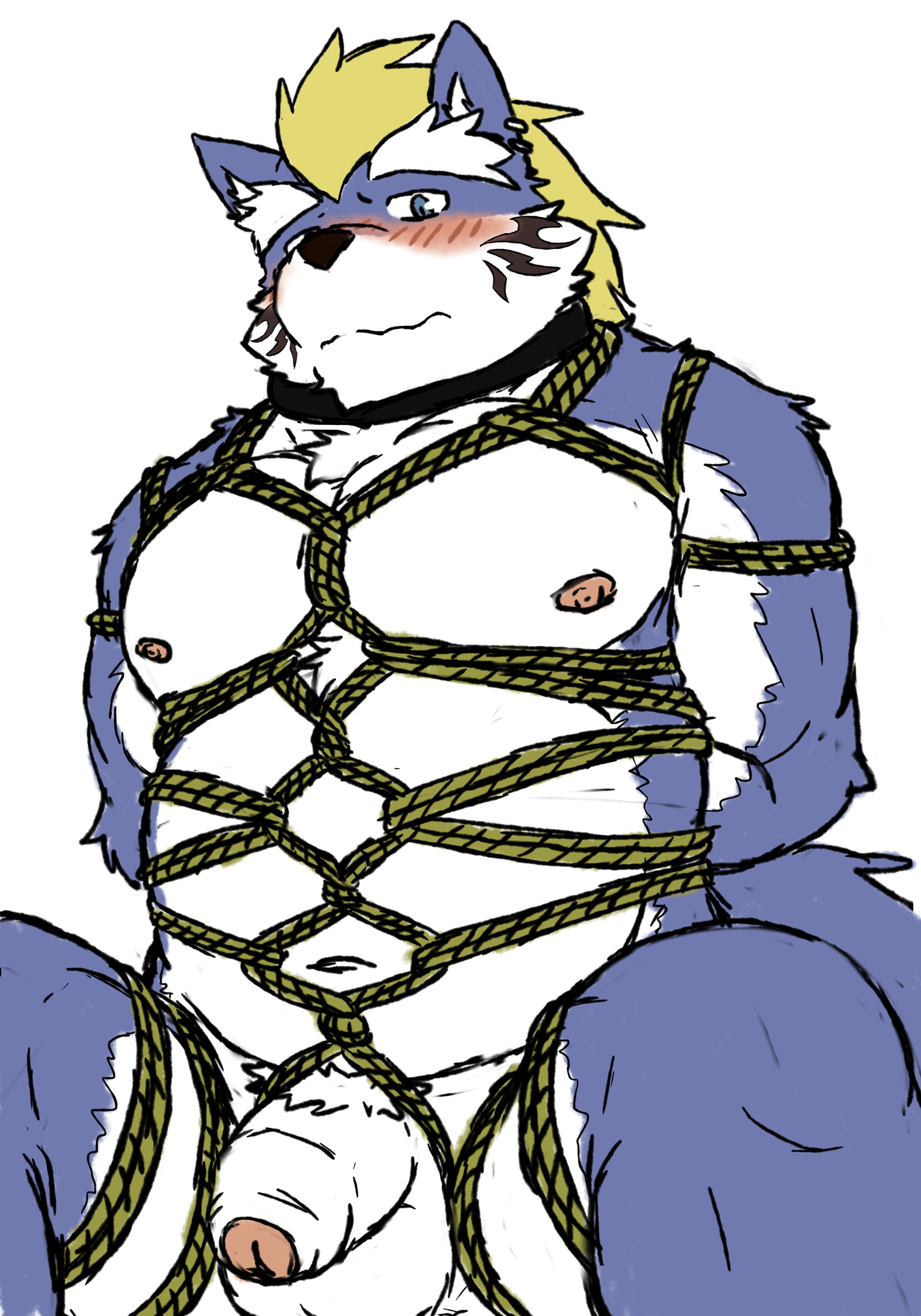 Fenrir (Tokyo Afterschool Summoners) Rule 34 Image