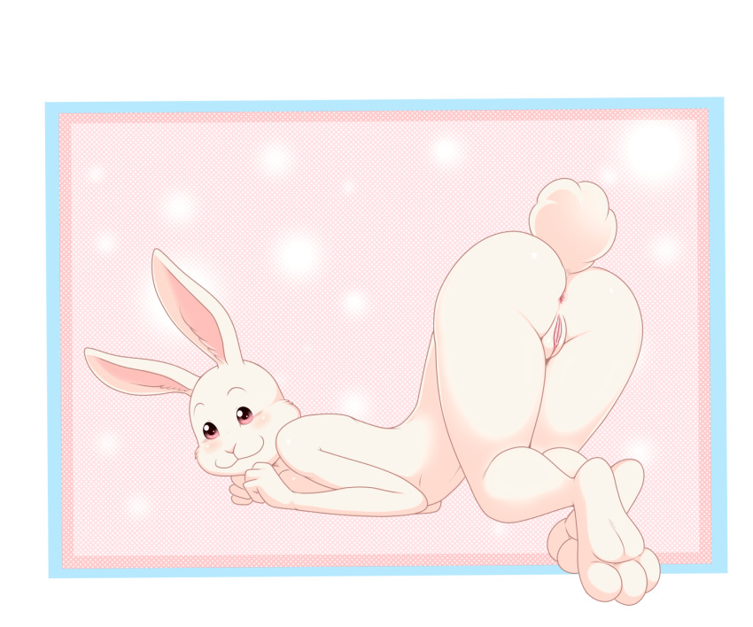 Haru (Beastars) Rule 34 Image