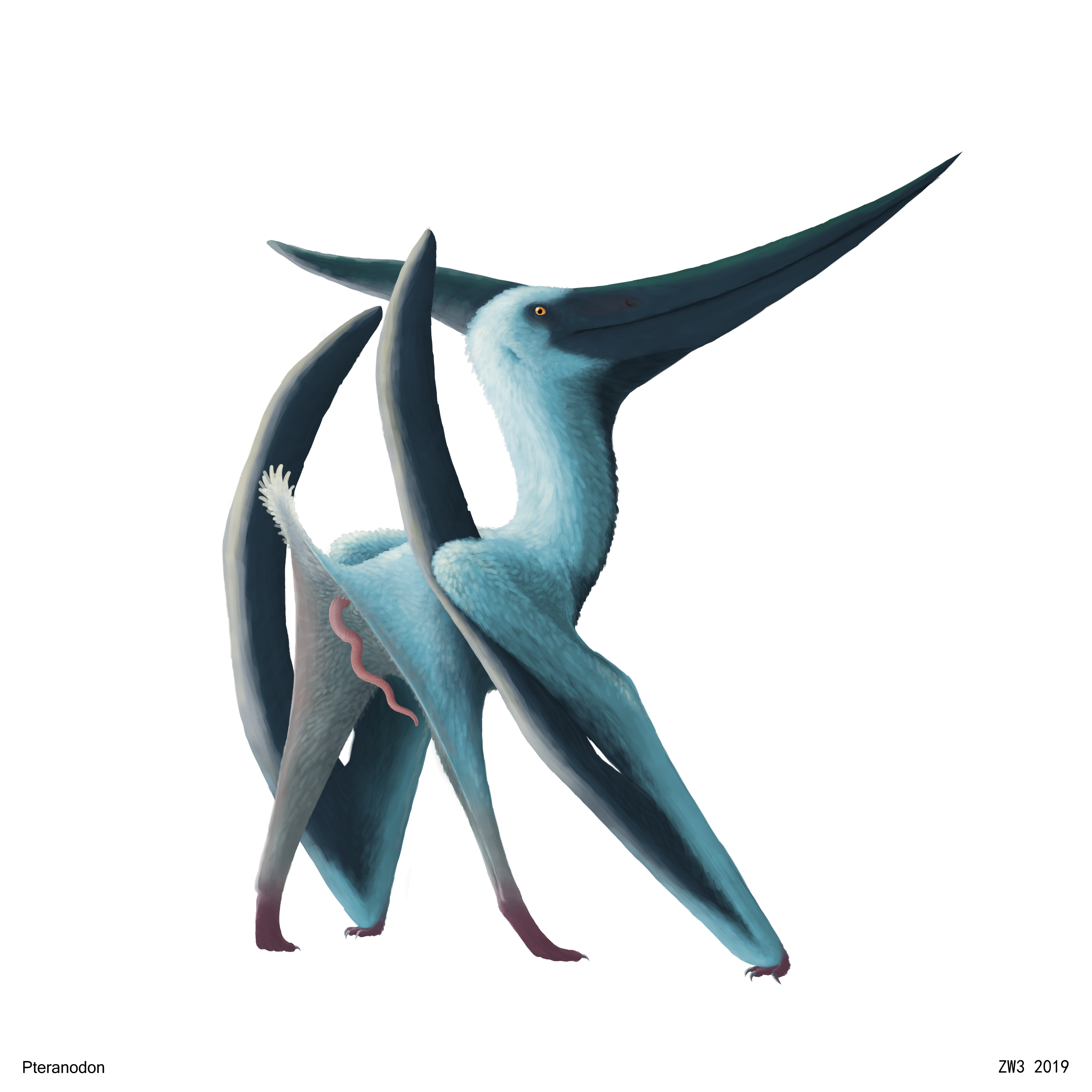Digital Media (Artwork) Rule 34 Image