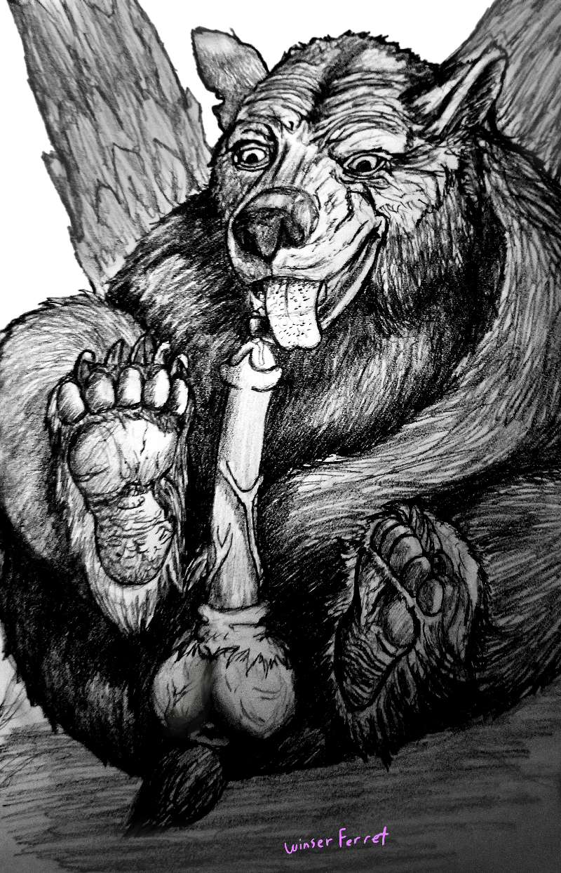 Baloo (Disney) Rule 34 Image