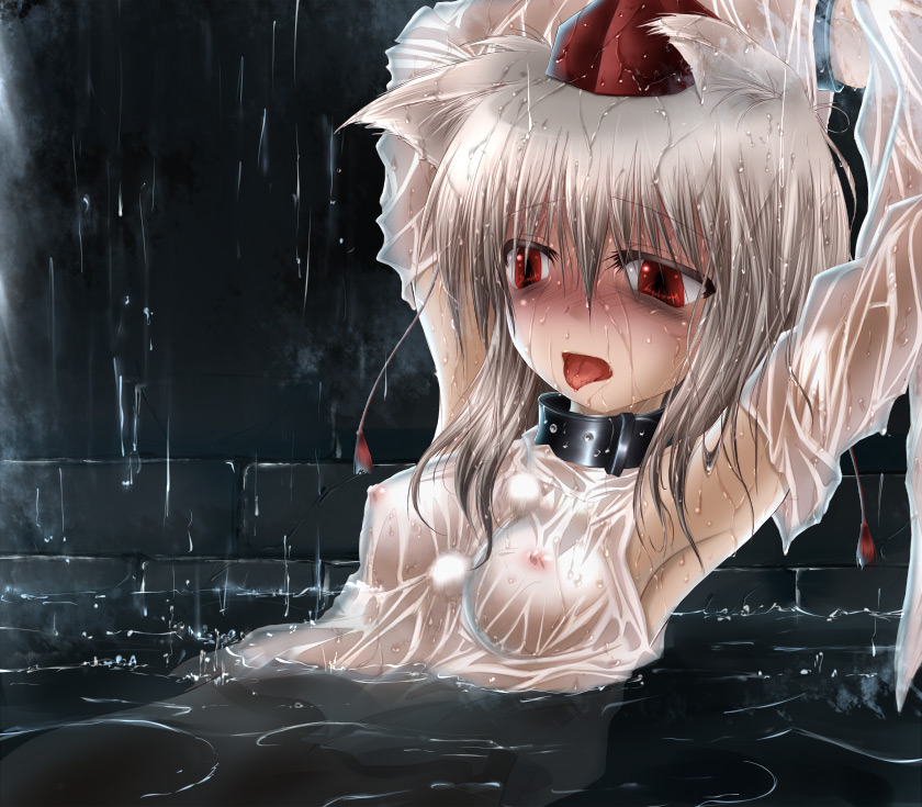 Momiji Inubashiri (Touhou) Rule 34 Image