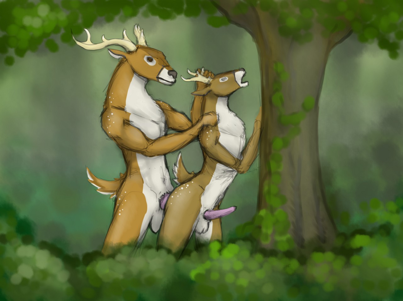 Anal Rule 34 Image