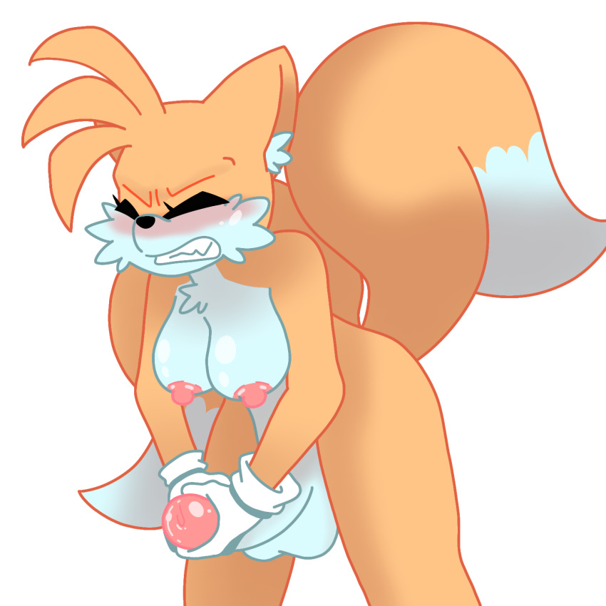 Miles Prower (Sonic (Series)) Rule 34 Image