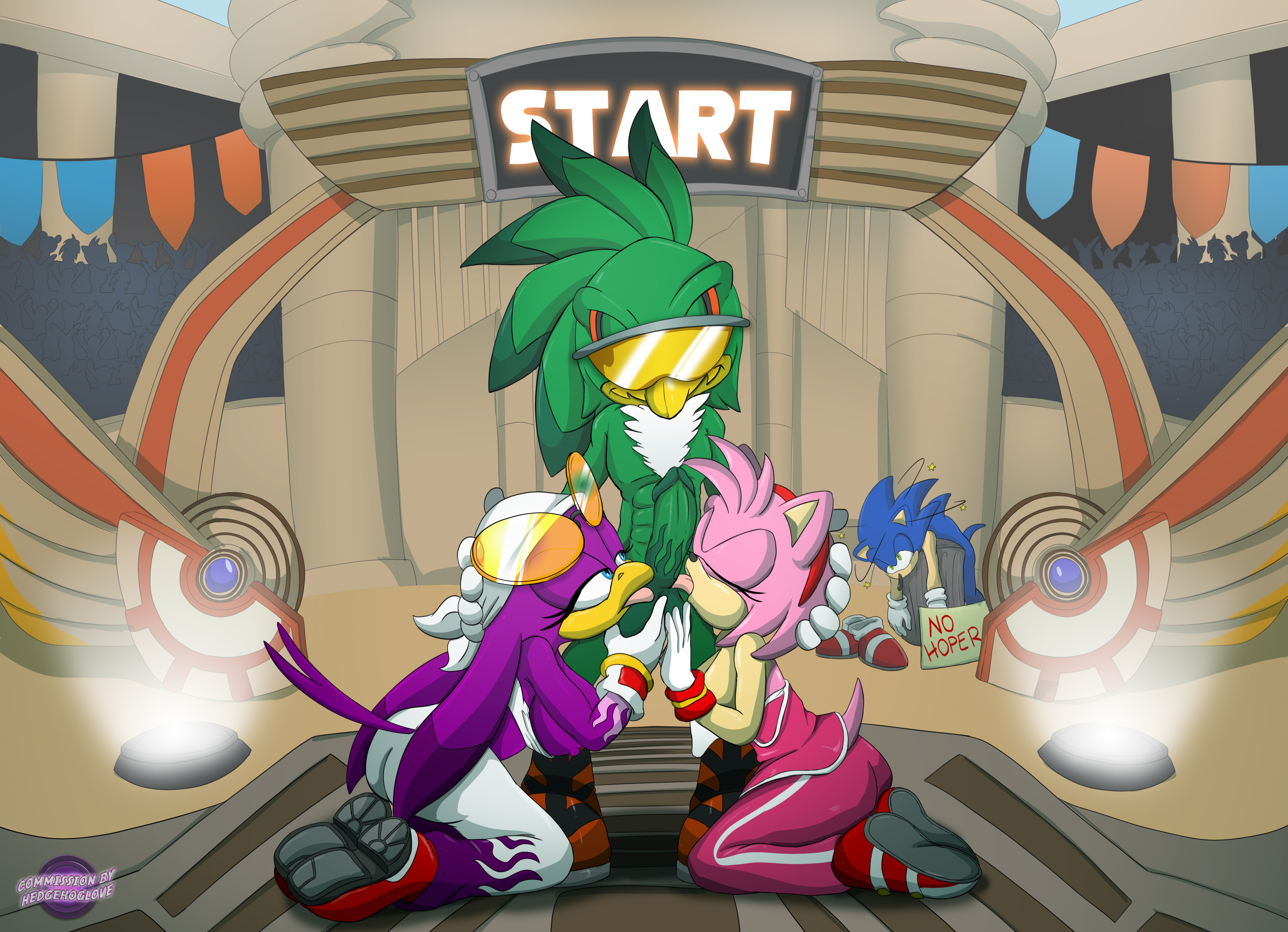 Amy Rose (Sonic (Series)) Rule 34 Image