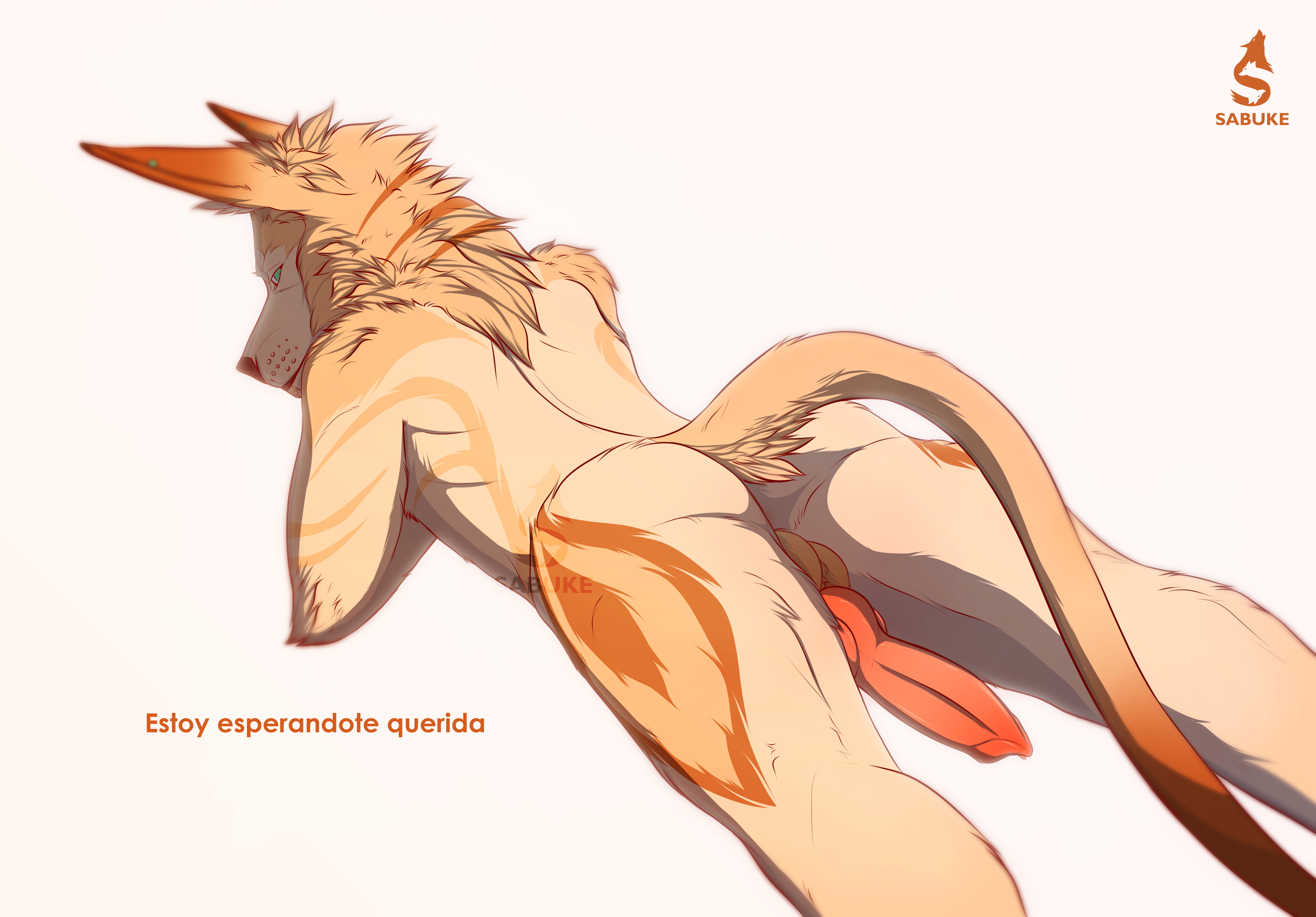 Animal Genitalia Rule 34 Image