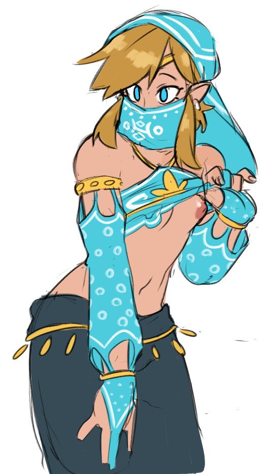 Gerudo Link (Breath Of The Wild) Rule 34 Image