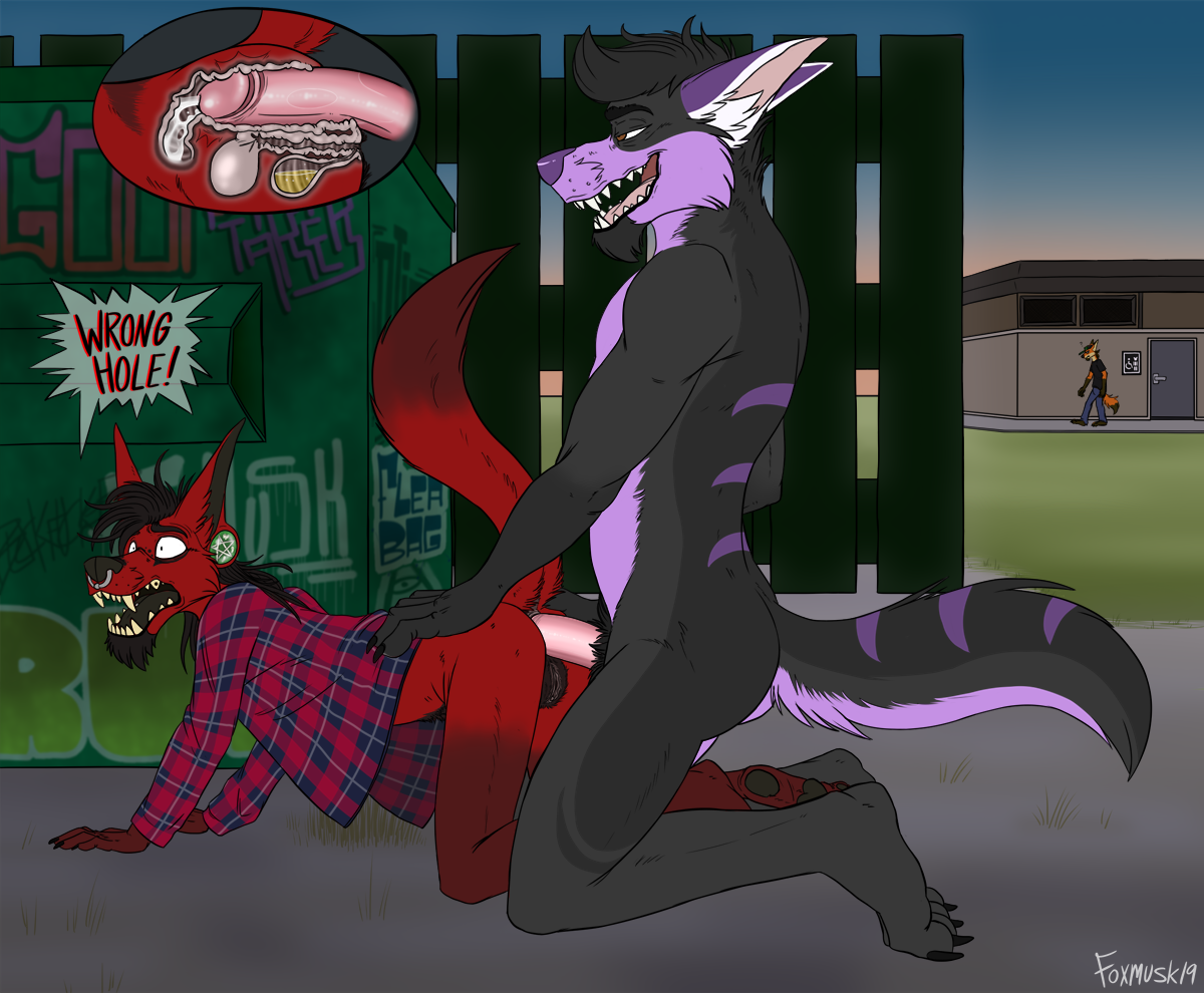 Nico (Foxmusk) Rule 34 Image